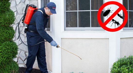 Toprakkale Kemirgen İlaçlama böcek ilaçlama ve haşere kontrolü — ilaclama-tr.com